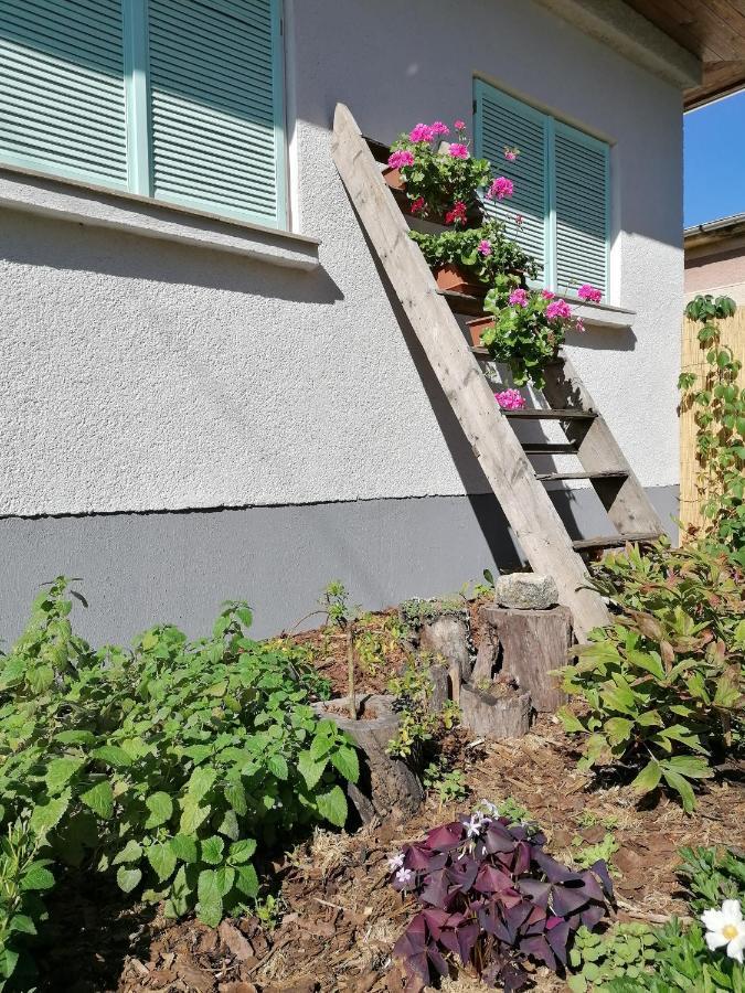 Menta Apartman Mezőkövesd エクステリア 写真