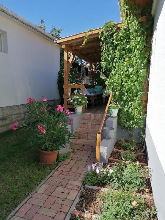 Menta Apartman Mezőkövesd エクステリア 写真