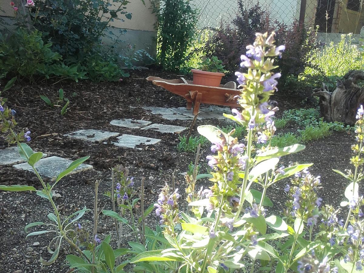 Menta Apartman Mezőkövesd エクステリア 写真